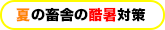 夏の畜舎の酷暑対策